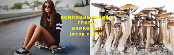 СК Пролетарск