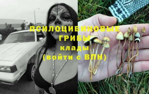 ешки Абинск