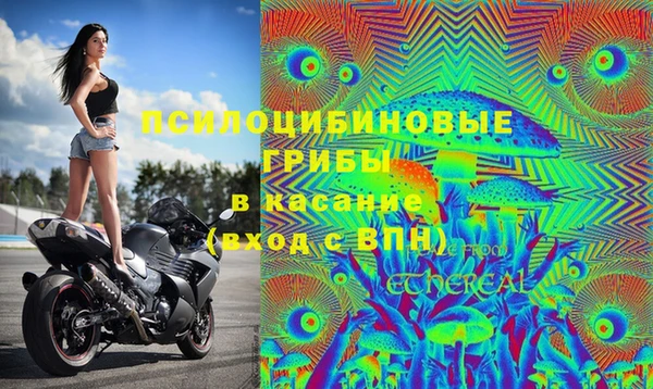 ешки Абинск