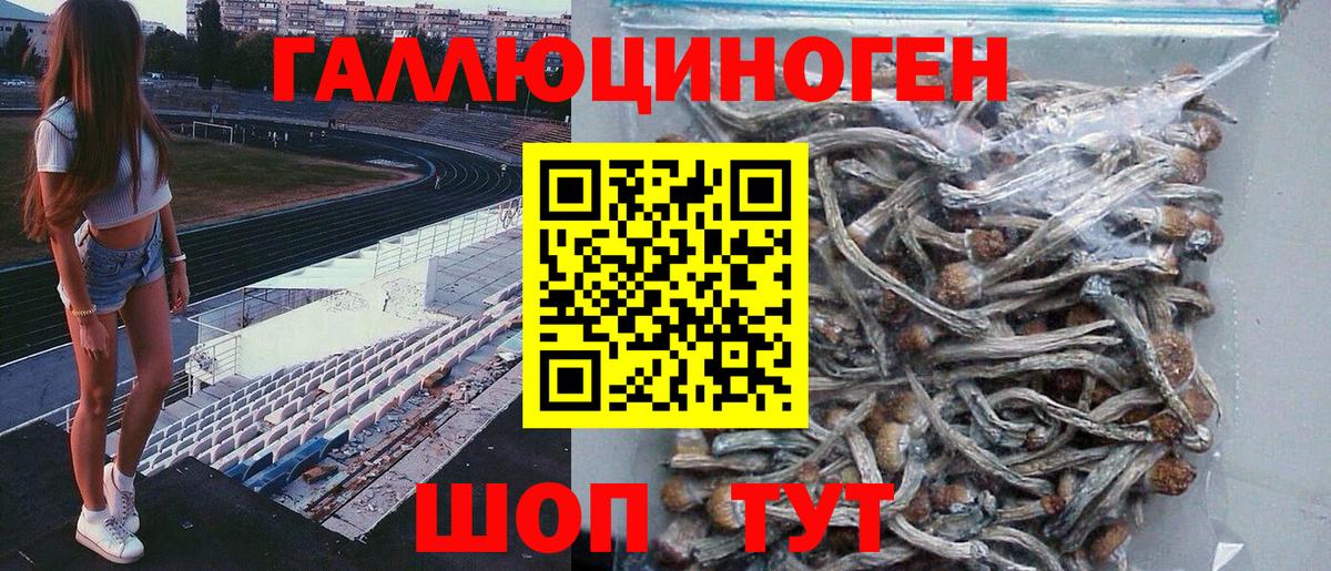 Псилоцибиновые грибы прущие грибы Гагарин