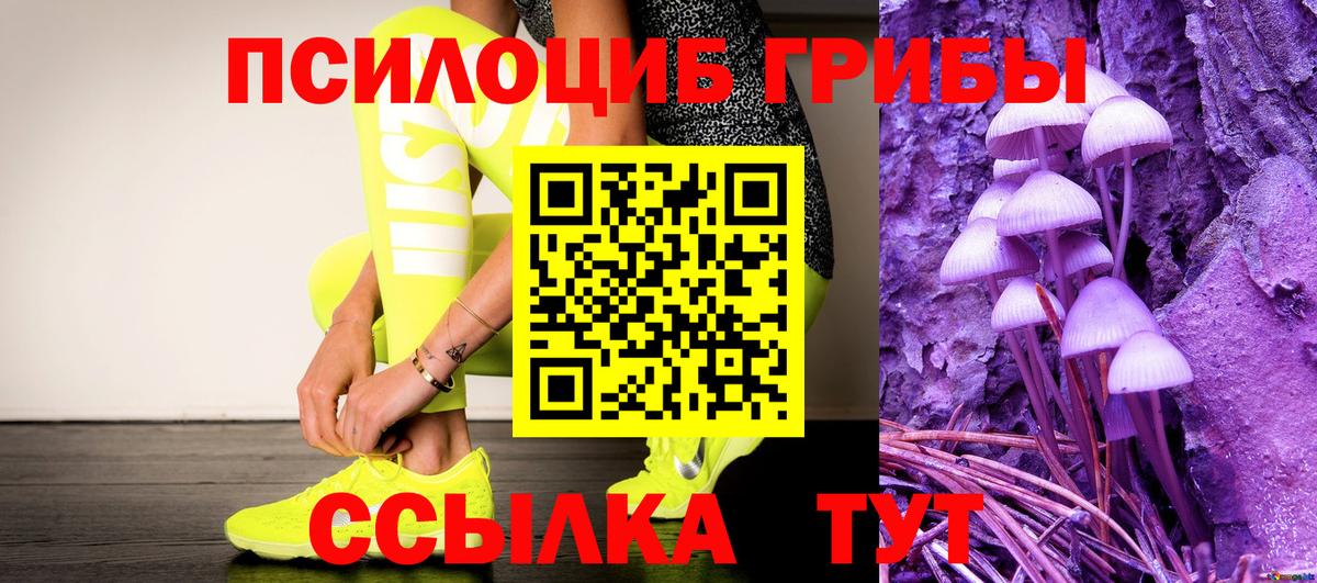 Псилоцибиновые грибы Psilocybe  Вход с VPN  Гагарин  Псилоцибиновые грибы Magic Shrooms 